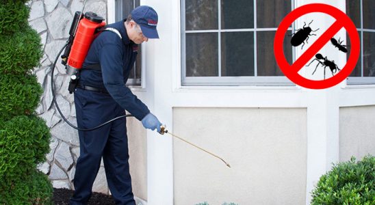 Çiğli Dezenfeksiyon böcek ilaçlama ve haşere kontrolü — ilaclama-tr.com